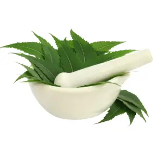 Neem Oil - 1