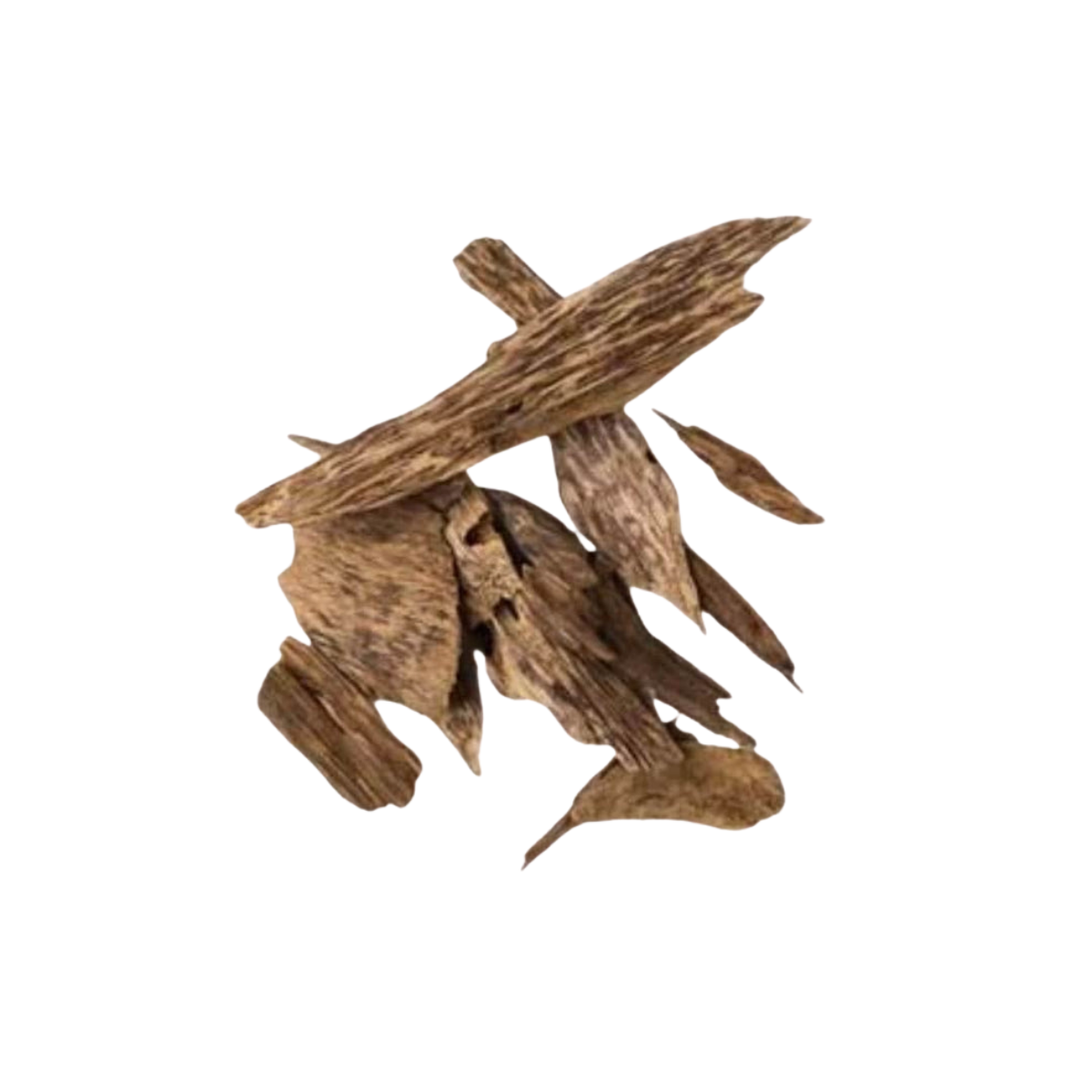 Oudh/Oud Fragrance Oil - 1