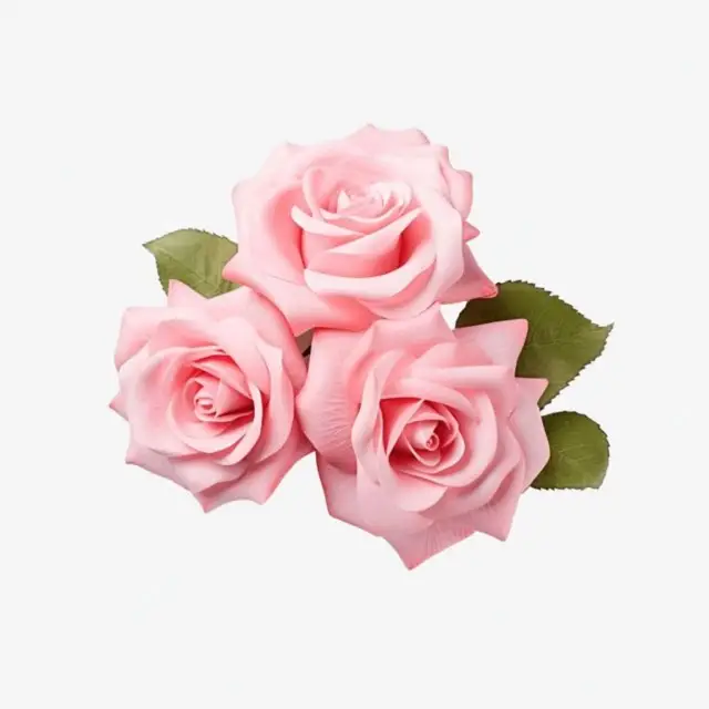Rose Hydrosol