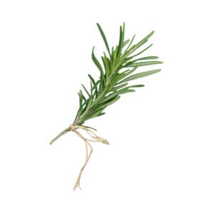 Rosemary Hydrosol